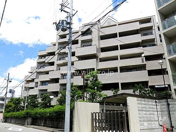 白鷹甲子園マン...