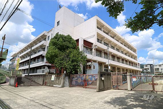 中小学校[公立...