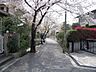 周辺：永楽荘の桜並木の外観