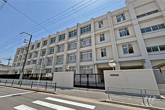 歌島中学校[公...