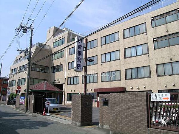 周辺を拡大表示