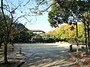 新芦屋中央公園の外観