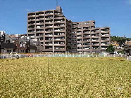 周辺には田畑も残り、のどかで、緑豊かです。