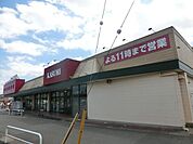 カスミ大芝店 985m