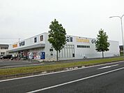 ＴＳＵＴＡＹＡ 606m