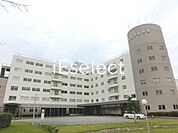 帝京平成大学 4900m
