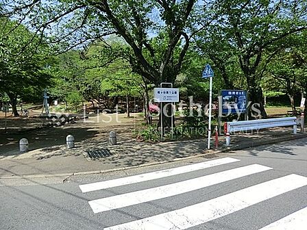 梶ヶ谷第1公園 緑豊かな公園が近くにあると、毎日の散歩や子どもとの遊びにも最適。季節の移ろいを感じながら、心も体もリフレッシュできます。 180m