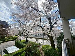 ヴィラージュ・ヴェール七番館