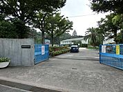 到津小学校(410m)