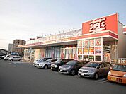 株式会社サンキュードラッグ／小倉愛宕薬局(1、300m)