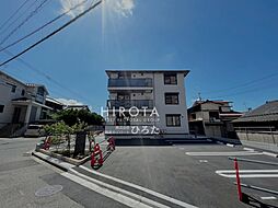 6 / 29
