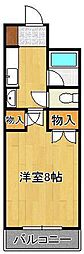 シティルーム金鶏 4階/-