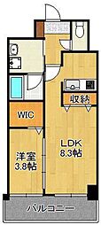 ラファエロ 1LDKの間取図画像