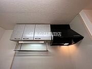 同型タイプ