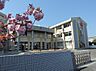 周辺：津市立南が丘中学校（1157m）