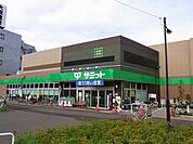サミット 900m
