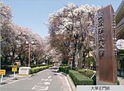国立東京学芸大学 徒歩20分。大学・短大 1590m