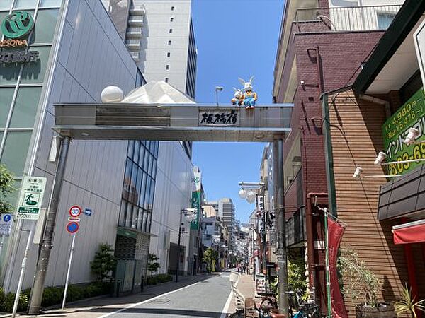 画像29:【その他】板橋宿不動通り商店街まで120ｍ