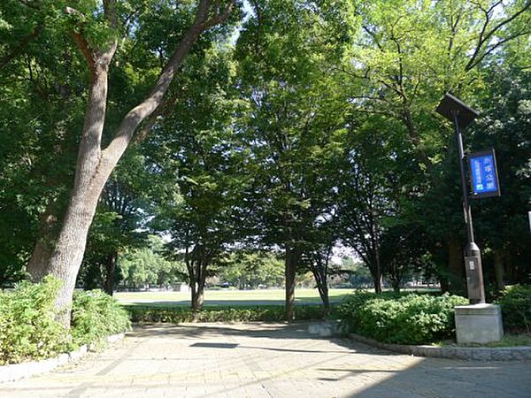 画像20:【公園】赤塚公園まで374ｍ