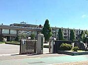 小学校「守山市立河西小学校まで354m」