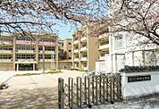 小学校「野洲市立野洲小学校まで377m」
