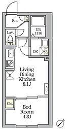 Aglaia 新宿横寺町 1LDKの間取図画像