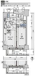 MAINSTAGE錦糸町7ラピス 1DKの間取図画像