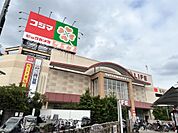 ライフ 江北駅前店（1017m）