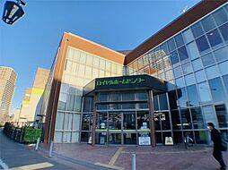 ロイヤルホームセンター 南千住店（397m）