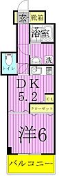アーバンレックス西新井2 5階/-