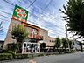周辺：ライフ大谷田店（504m）