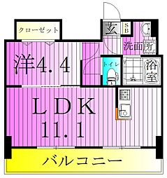 アルファコート西新井 7階1LDKの間取り