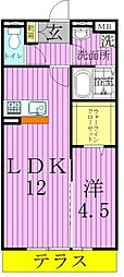 ヴェリナ 1LDKの間取図画像
