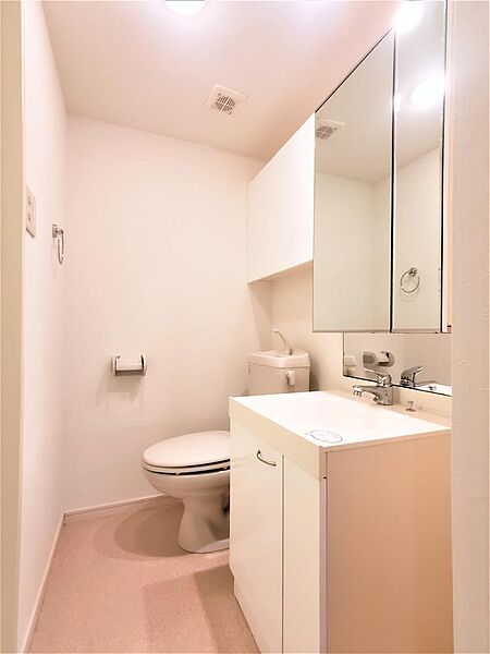 画像17:洗面所にはトイレ、洗面化粧台があります。