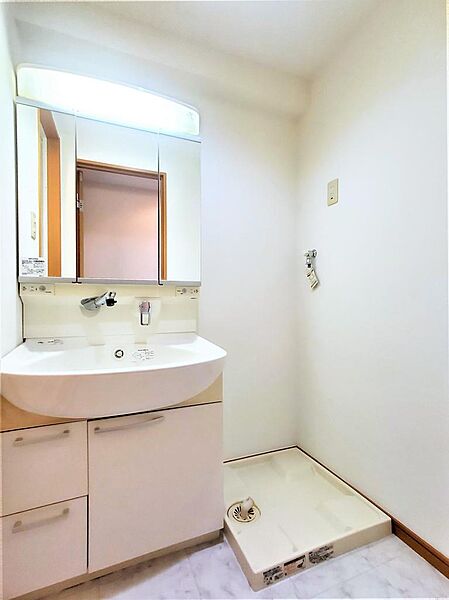 画像19:洗面所には洗面化粧台、洗濯機置き場があります。防水パンは備え付けです。