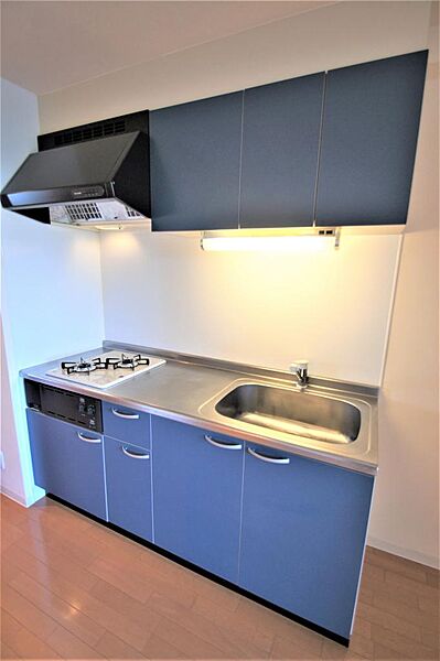 画像12:２口ガスコンロ付きシステムキッチン、調理スペースが広く快適にご利用いただけます。