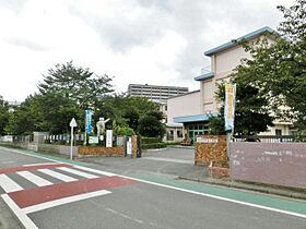 アヴィニール吉野  ｜ 福岡県北九州市小倉北区吉野町（賃貸マンション1LDK・8階・34.00㎡） その15