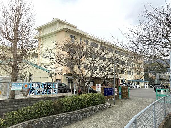 画像16:松ヶ江中学校(850m)