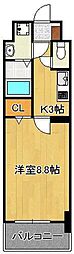 エヴァーグリーンQ