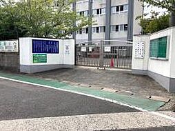松ヶ江南小学校(230m)