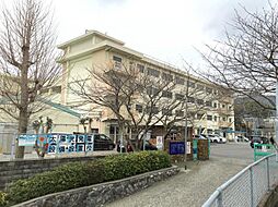 松ヶ江中学校(850m)