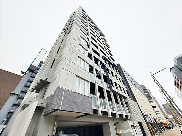 ＴＨＥ　ＨＩＬＬＳ　ＫＯＫＵＲＡ