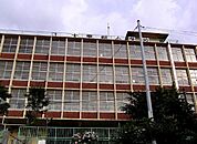 大里柳小学校(260m)