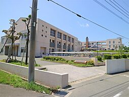 ライジングサン