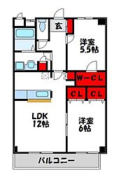 クレール桜アネックス 7階/-