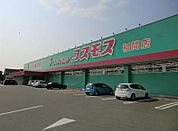 ディスカウントドラッグ コスモス 福間店（679m）