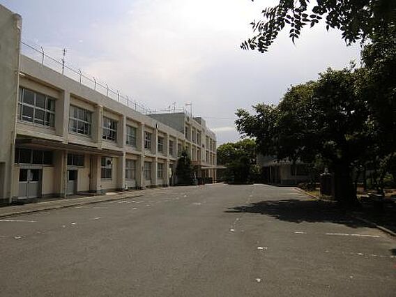 MDIブリサマリーナ花見が浜_周辺_0