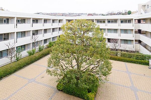 CRESCENT COURT KAWASAKI（旧名称：ステラホーム） 432｜神奈川県川崎市麻生区高石３丁目(賃貸マンション1R・4階・24.27㎡)の写真 その18