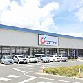 カワチ薬品若林...