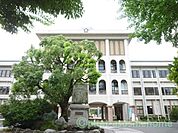 小学校「長浜市立長浜小学校まで1233m」